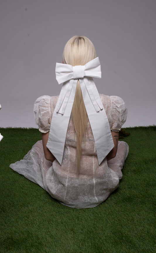 The Salon Bow in Swan